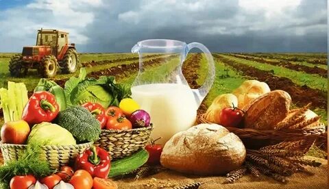 Продукция сельского