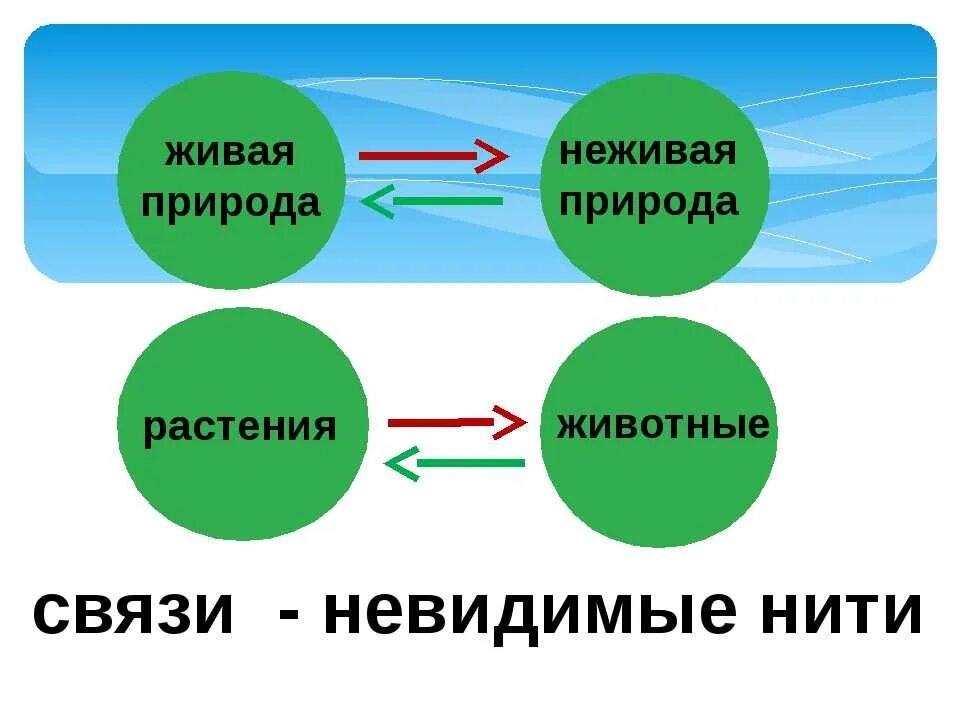 Тема урока невидимые нити. Невидимые нити 2 класс окружающий мир. Нити в природе 2 класс. Невидимые связи в природе.