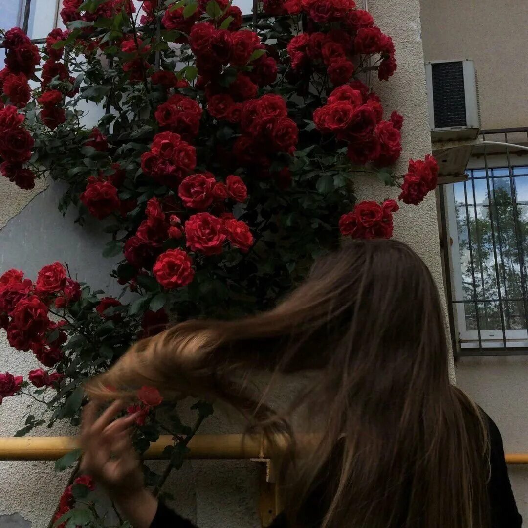 Лицо девушки эстетика. Эстетика девушек без лица. Кореянки со спины. Без лица эстетика софт. Кореянки без лица.