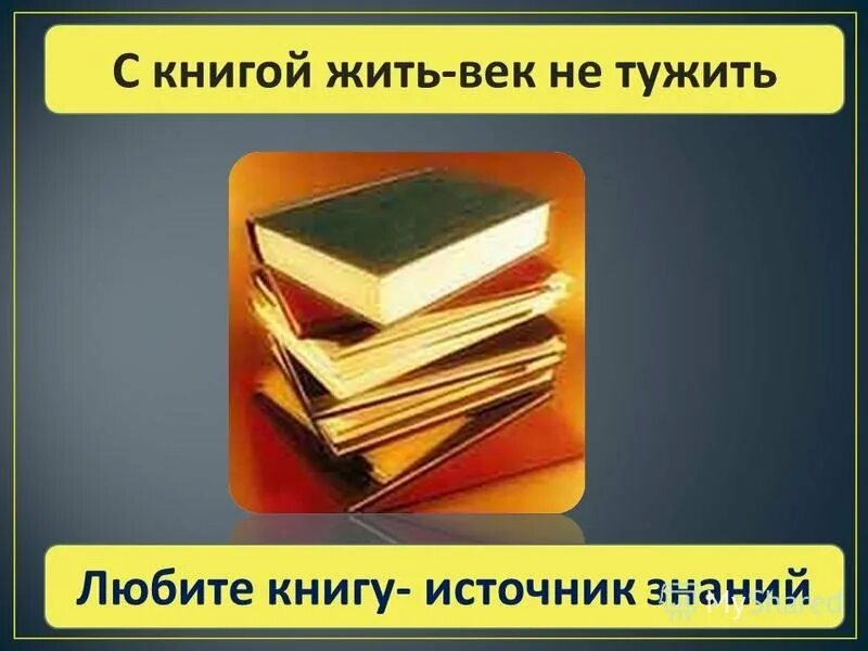 Книга источник связи