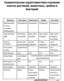 Сравнительная характеристика бактерии растений грибы животные