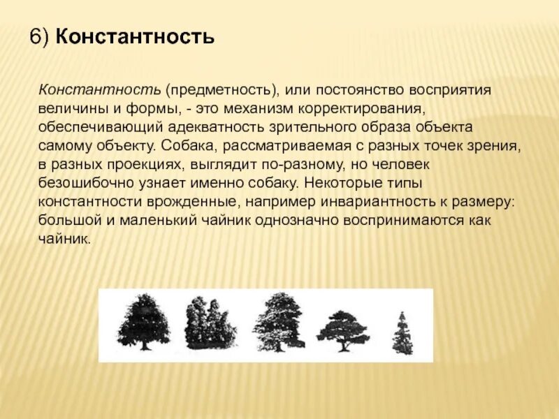 Целостность осмысленность константность предметность. Целостность осмысленность константность предметность