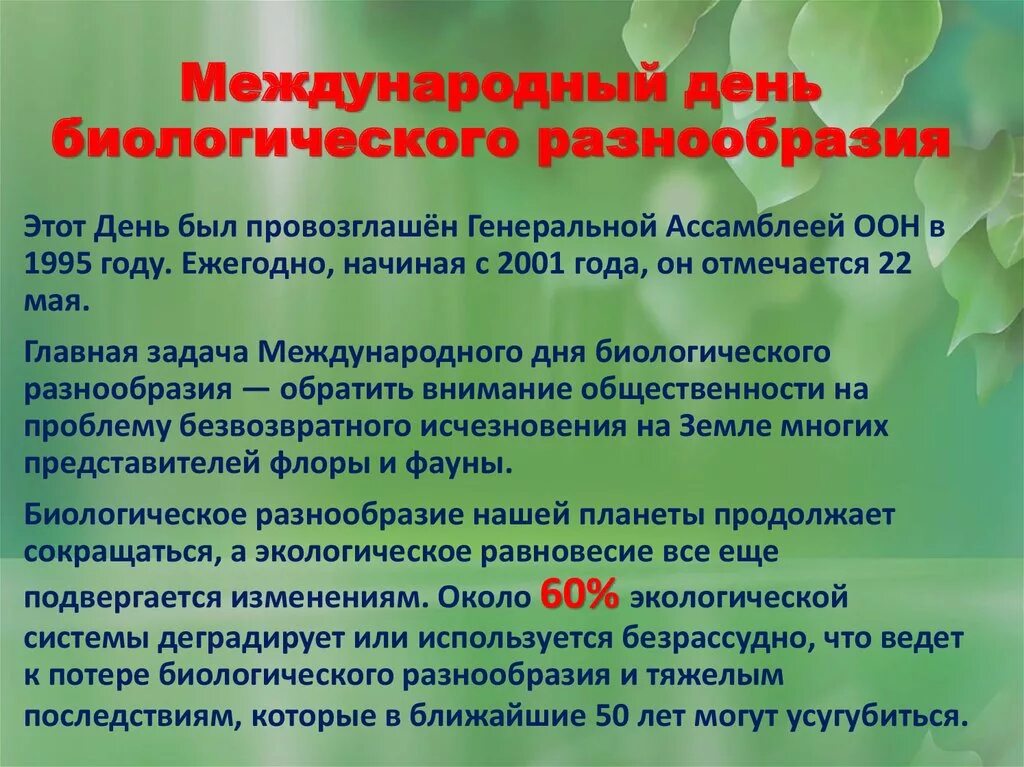 29 Декабря Международный день биологического разнообразия. Международный день биоразнообразия. 22 Мая день биоразнообразия. День биоразнообразия 2021.