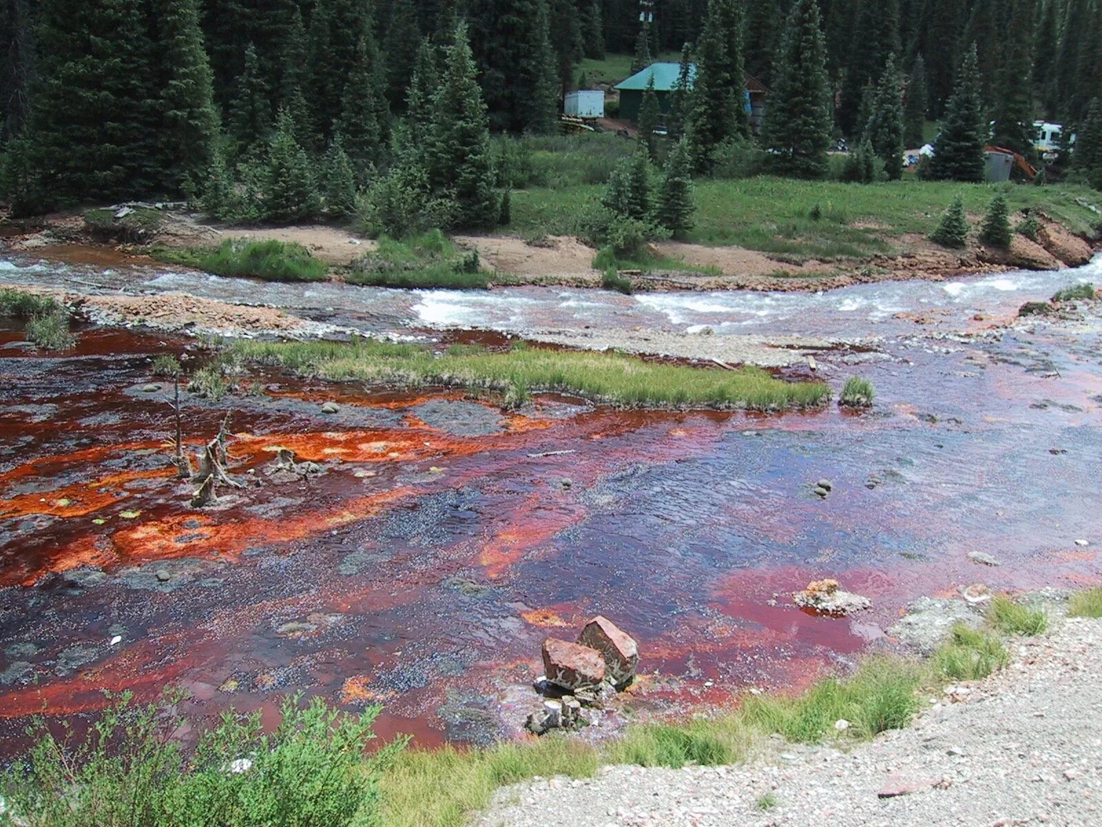 Озеро карабаш челябинская область. Кислотный дождь кислотный дождь. Йеллоустонский национальный парк сша. Кислотные дожди в лесу. Баварский лес кислотный дождь.