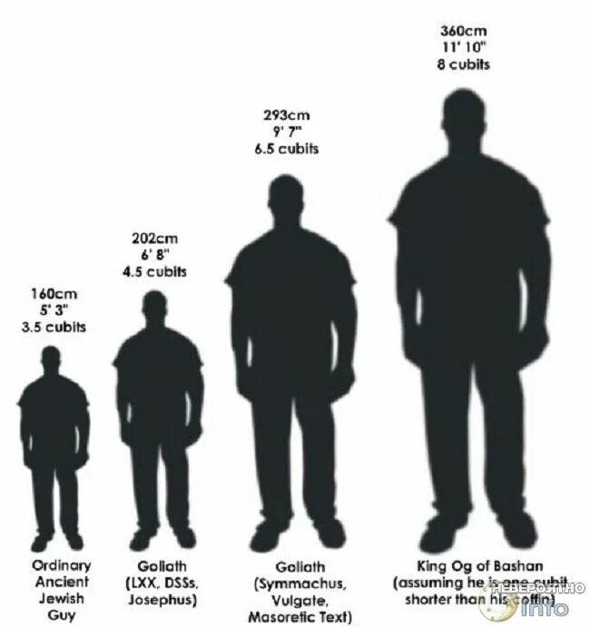 Рост. 5 Метров в высоту в сравнение с человеком. Сравнение людей. Рост человека. Были ниже по сравнению с