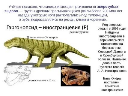 В какую эру произошли млекопитающие