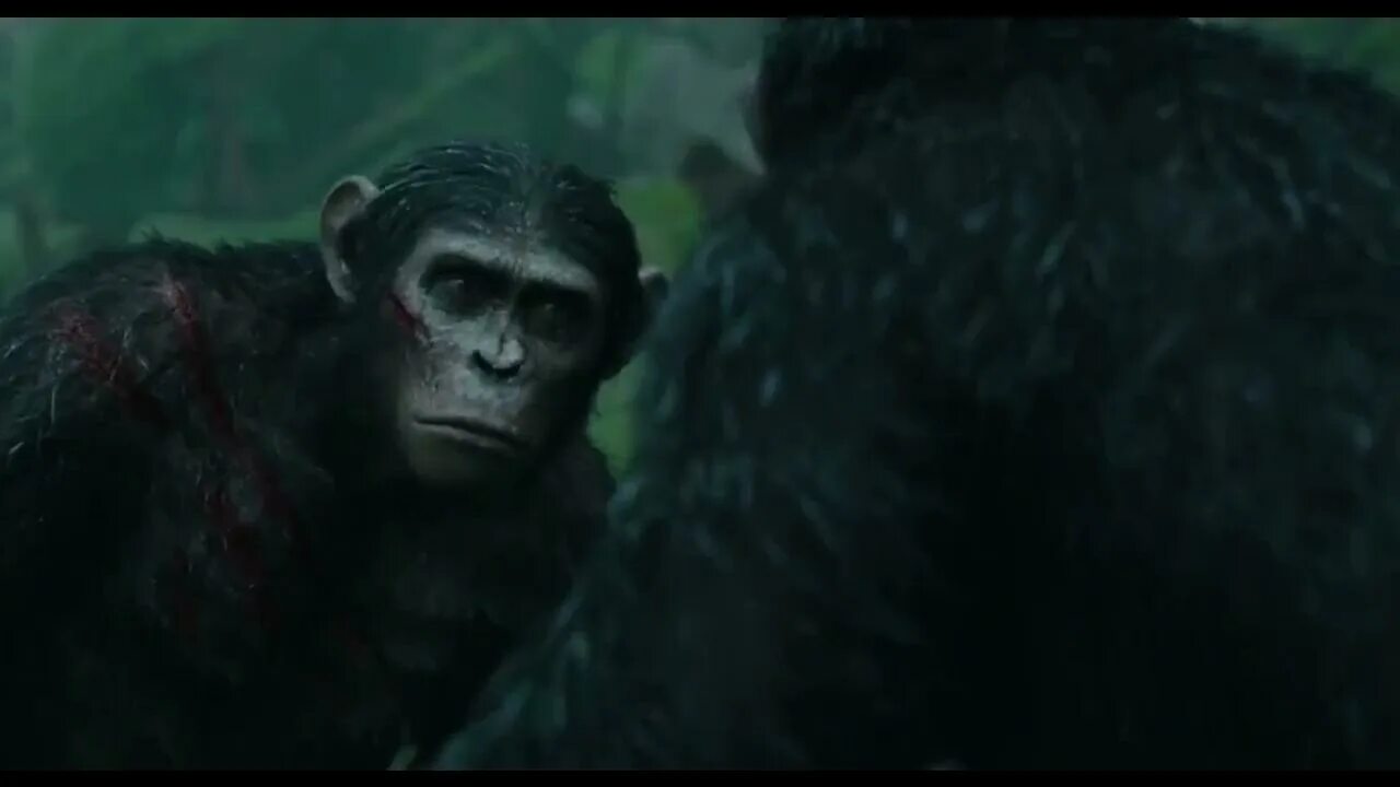 Планета обезьян хорошее качество 2014. Планета обезьян Синеглаз. Планета обезьян революция.