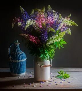 Стоят ли люпины в вазе