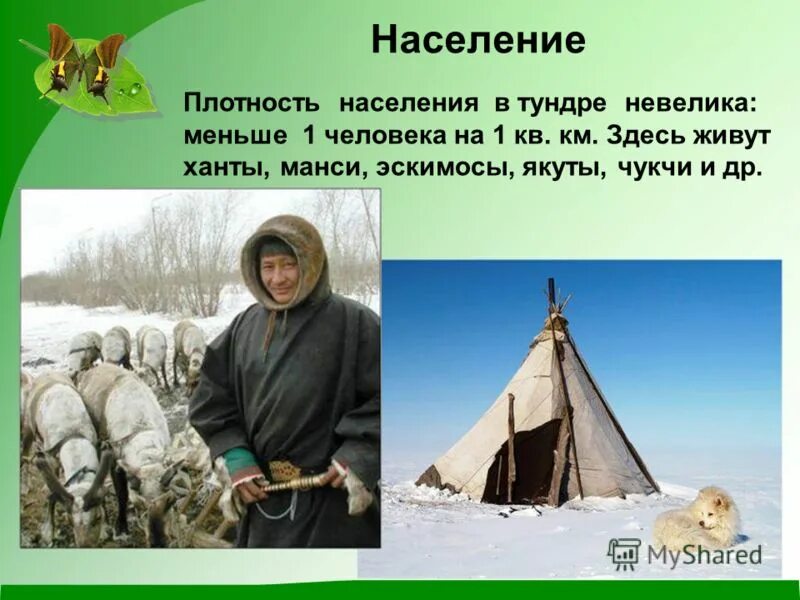 Коренное население природной зоны занимается. Ханты манси Эскимосы якуты чукчи. Население тундры. Коренные жители тундры их занятия. Занятия населения зоны тундры.