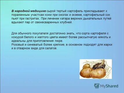 Почему нельзя есть сырую картошку