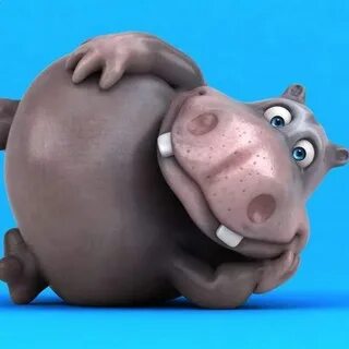 3 бегемота