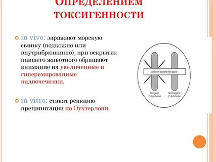 Определение токсигенности дифтерии