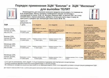 Сколько раз в день поить телят