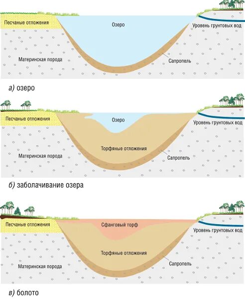 Каринтийское озеро. Схема зарастания озера. Формирование озера данных. Сформировать озеро. Сформировать озеро.