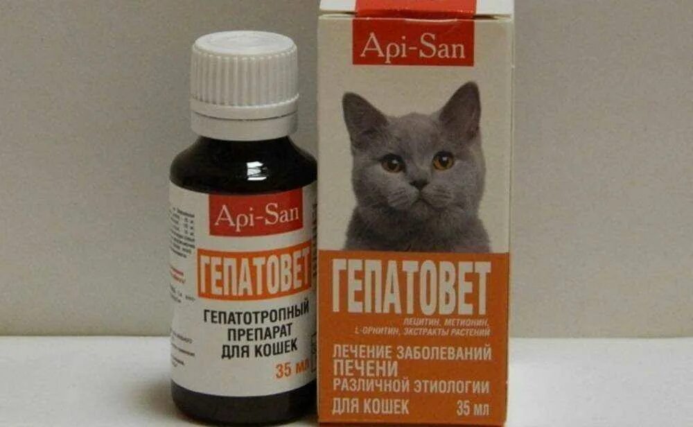 Печень симптомы котам. Кошачьи лекарства. Лекарства для котиков. Котенок с таблетками. Средство для кошек.