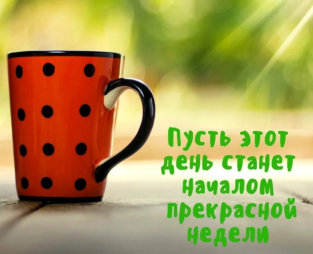 С добрым утром и хорошего позитива. Позитивного дня и хорошего настроения. доброе утро пожелания красивые позитивные. доброе утро хорошего дня картинки. открытка хорошего продуктивного дня.