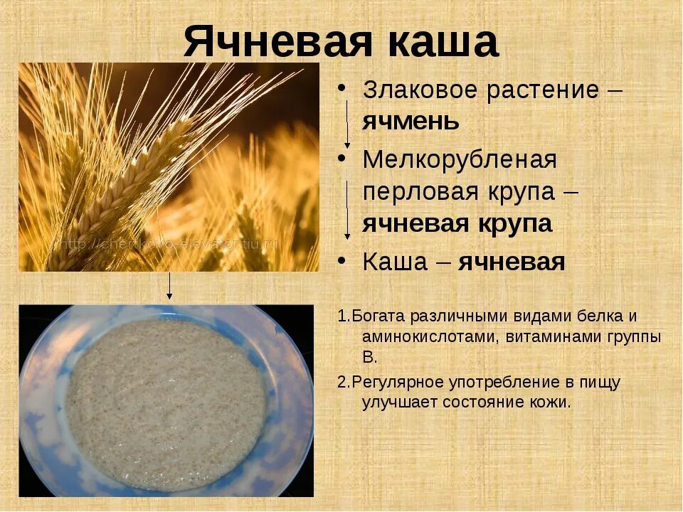 Ячневая из какого зерна делается