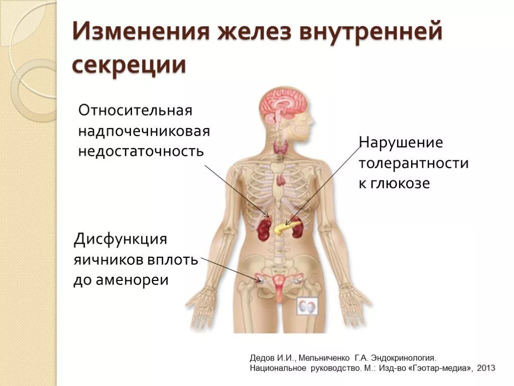 Нарушение функции желез внутренней секреции. Заболевания связанные с деятельностью желез внутренней секреции. Эндокринная система железы внутренней и внешней секреции. Роль функции желез внутренней секреции.