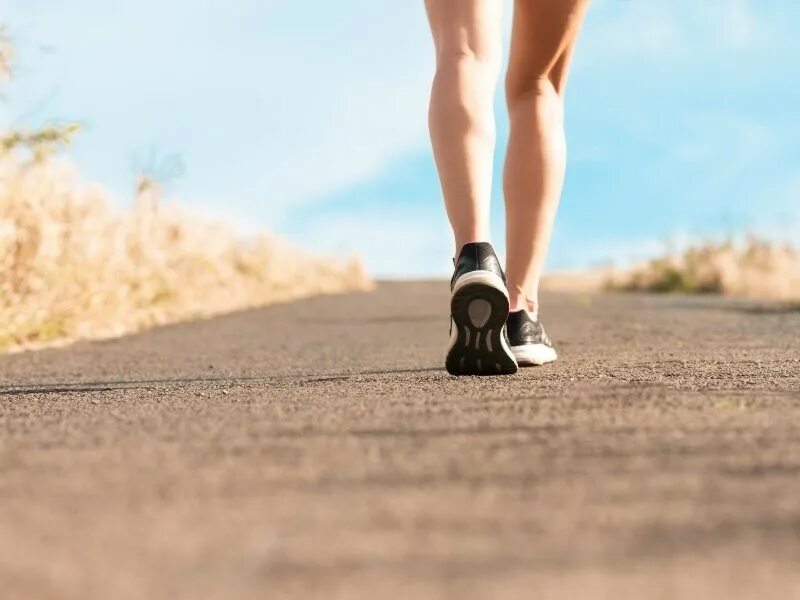 Пешие прогулки. Пешие прогулки. Walk post. Прогулочная ходьба. Fat walking.