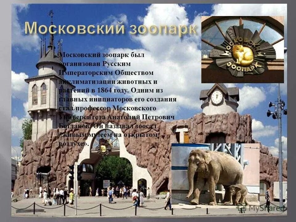 Зоопарк сообщение 2 класс. 1864 – открылся московский зоопарк. московский зоопарк достопримечательности москвы. московский зоопарк рассказ для 1 класса. (1)московский зоопарк 1864 года.