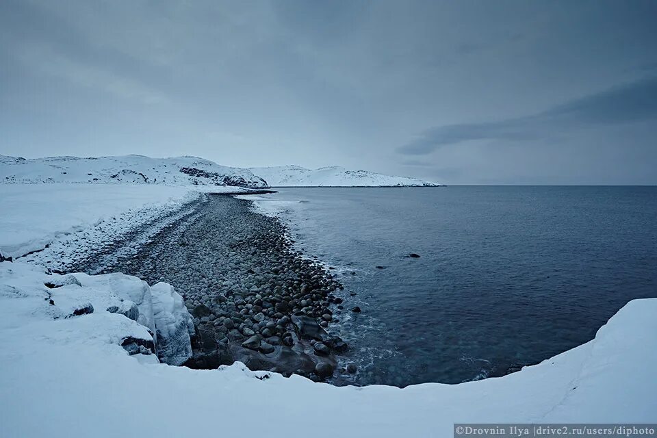 Баренцево море Заполярный. Курорты Баренцева моря. Баренцево море зимой. Баренцево море курорты Баренцева моря. Почему не замерзает баренцево