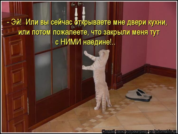 Комне пришли. Кот стучится в дверь. Смешной кот открывает двери. Кот открывает дверь. Дверь для кота.