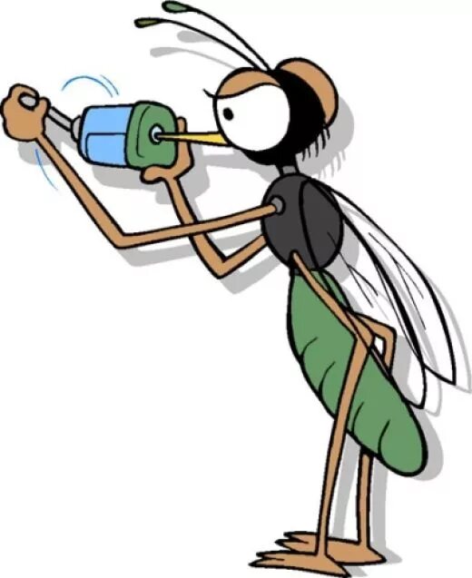 Смысл пословицы комар носа. Комар носа не подточит фразеологизм. Комар. Комар носа подточит.. Комар рисунок.