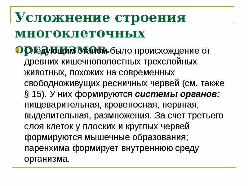 В каких направлениях шла эволюция трехслойных животных. Эволюция трехслойных животных. гипотезы происхождения трехслойных животных. причины и последствия происхождения трехслойных животных.. эволюция трехслойных животных таблица.