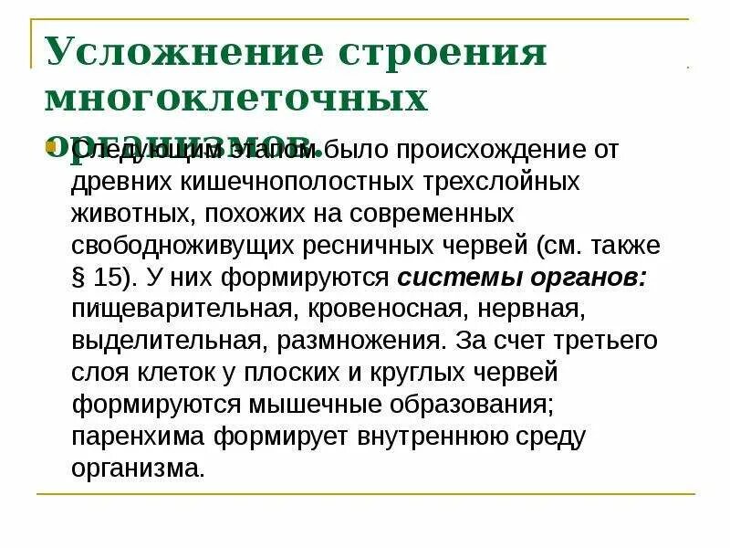 Гипотезы происхождения трехслойных животных. Причины и последствия происхождения трехслойных животных.. Эволюция трехслойных животных таблица.