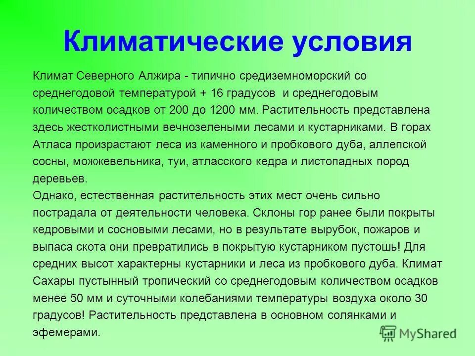 климатические условия алжира в разных частях страны