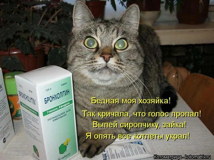 Почему нет голоса