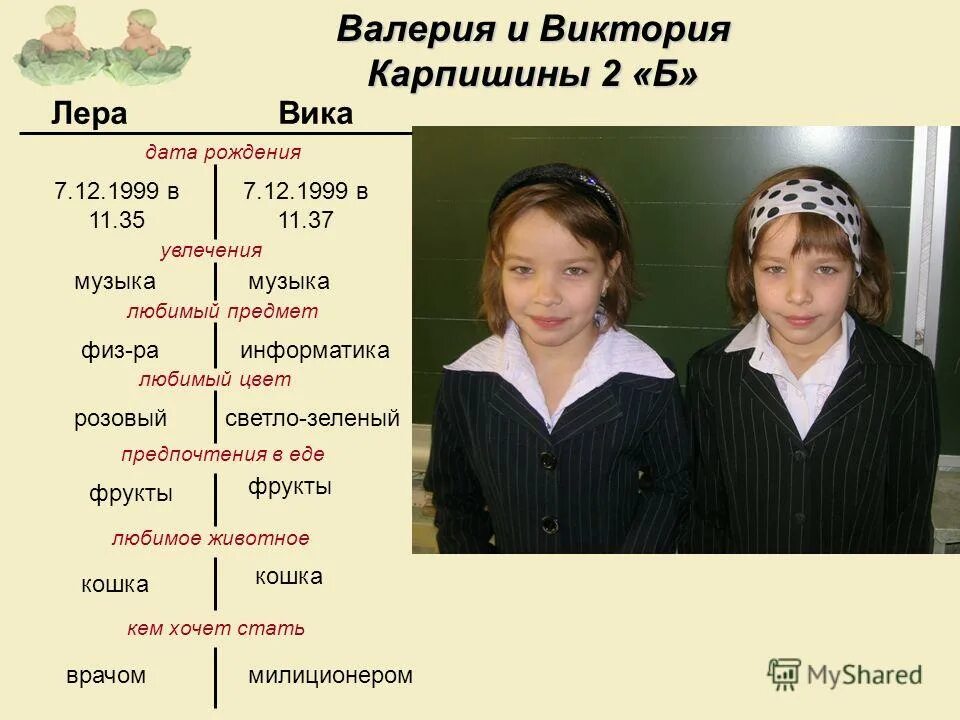 Насколько близнецы. Презентация на тему Близнецы. Близнецы для презентации. Близнецы двойняшки презентация. Презентация на тему близнецовый метод.