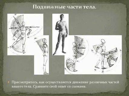 Движениями в различных областях