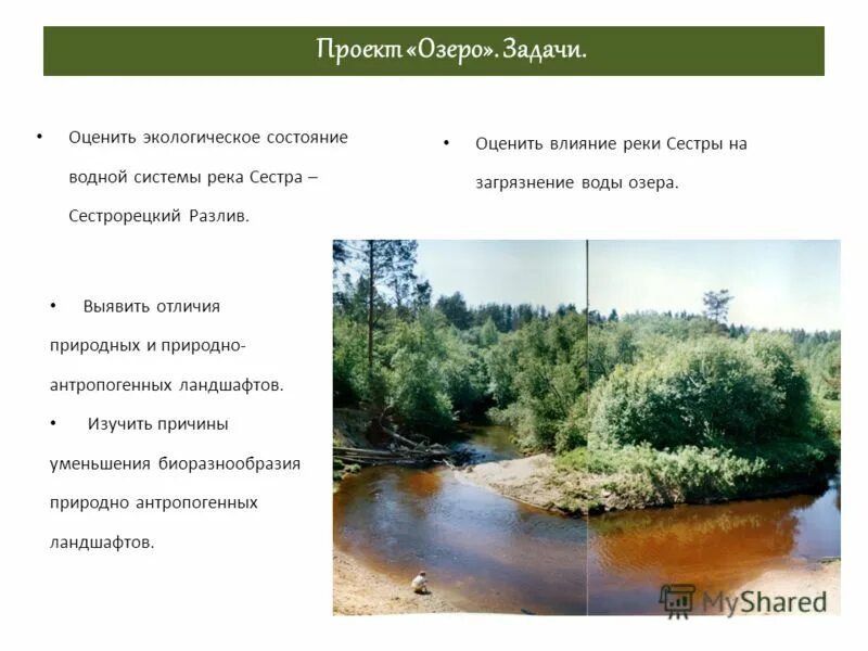 Объясните почему антропогенное воздействие на реки бассейна. Задача про озеро. Ландшафты причины сокращения. Сестра (река, впадает в Сестрорецкий разлив). Москва река экологическое состояние.