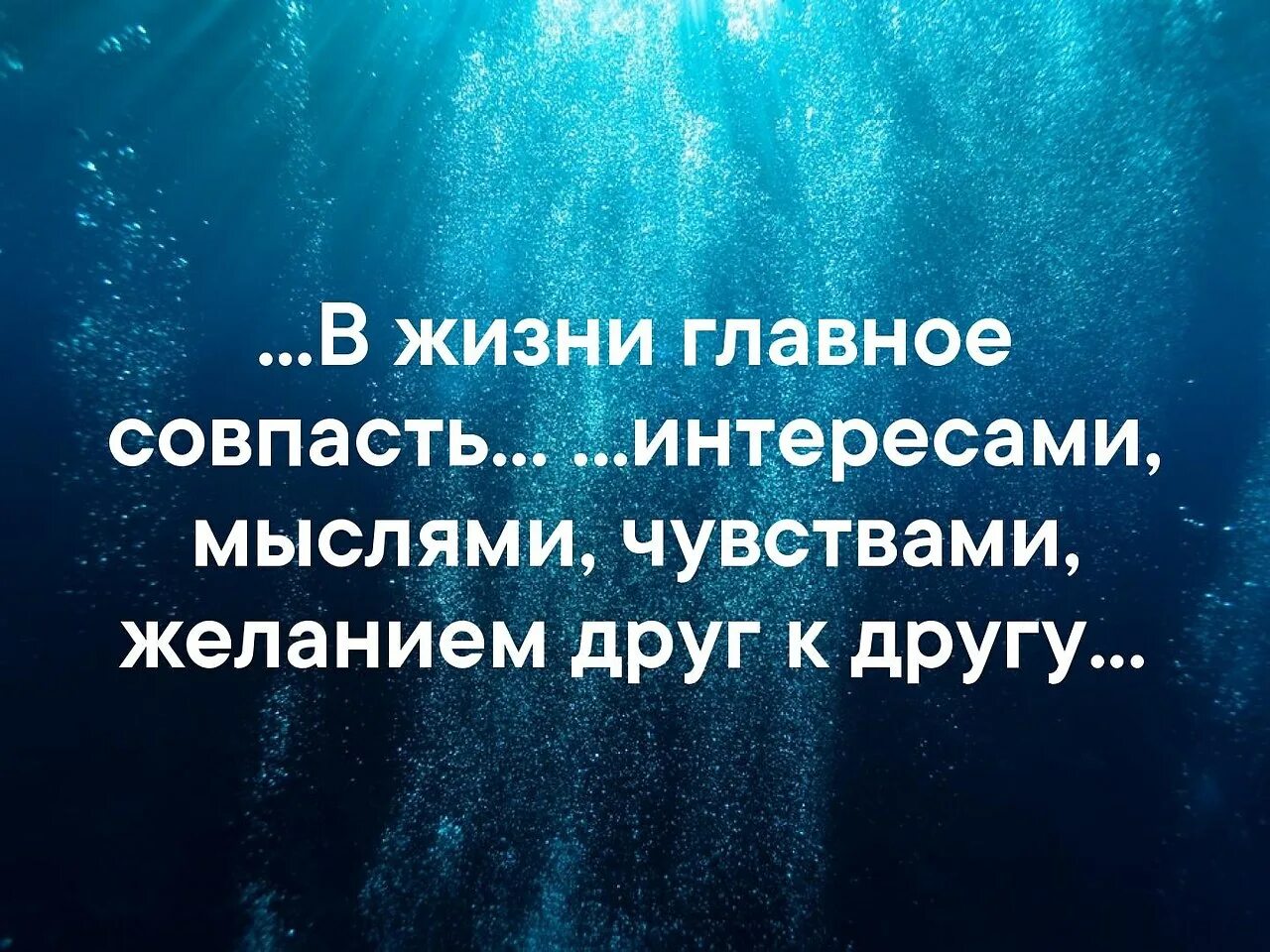 Всегда говорите что чувствуете. Поступки всегда говорят больше. Поступки говорят больше чем слова. Высказывания о поступках. Цитаты про поступки.