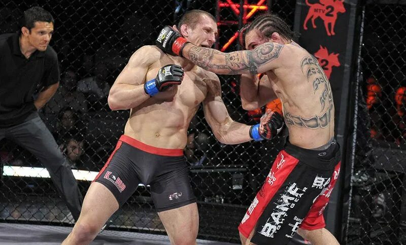 Pride смешанные единоборства. Стердаунды бойцов pride. Бойцы прайд. Ufc undisputed 3 бойцы. Бойцы прайд.