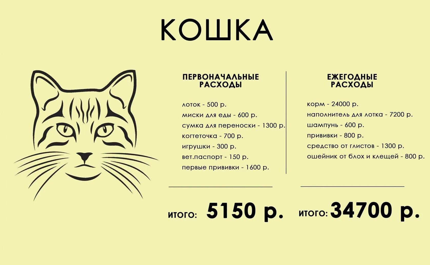 Содержание котенка. Сколько нужно на содержание кота в месяц. затраты на содержание кошки. сколько стоит содержать кошку. сколько стоит содержание кота в год.