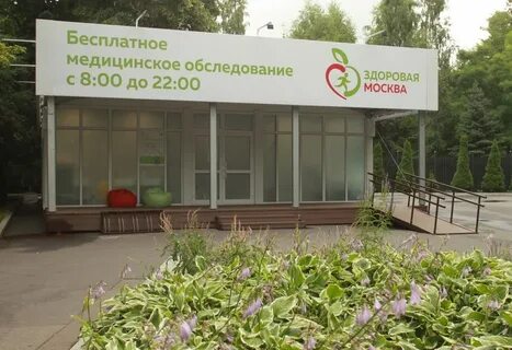 Проект здоровья в москве