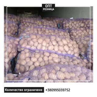 Купим картофель кемеровская область
