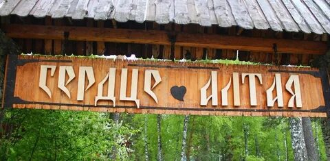 Сердце алтая отдых