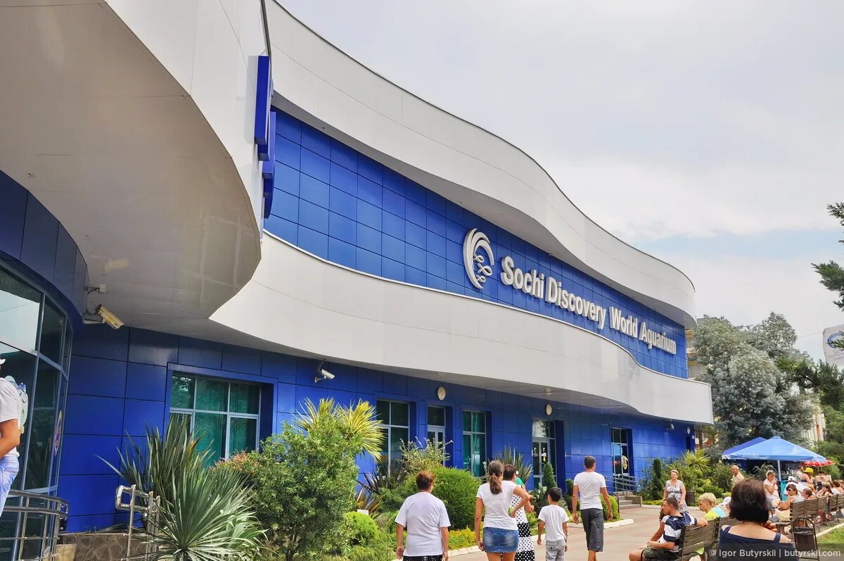 океанариум адлер здание. сочинский океанариум сочи. сочи парк океанариум адлер. сочи аквариум дискавери. сочи дискавери ворлд аквариум.