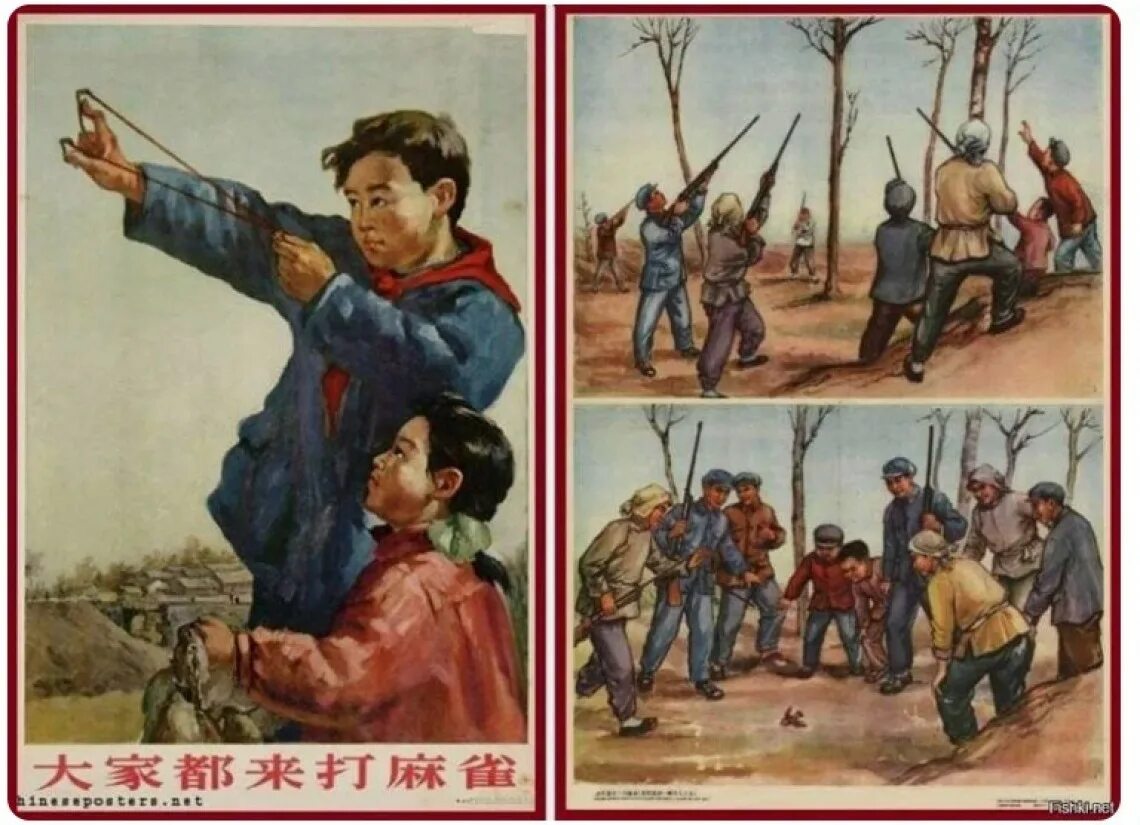 Китай истребление Воробьев 1958