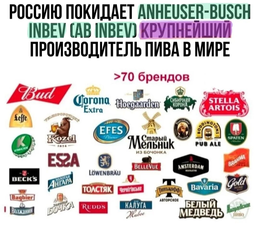 Разговоры на кухне. И плечист потому что я фашист. Трезвая душа. Территория трезвости. Пиво инбев ассортимент.