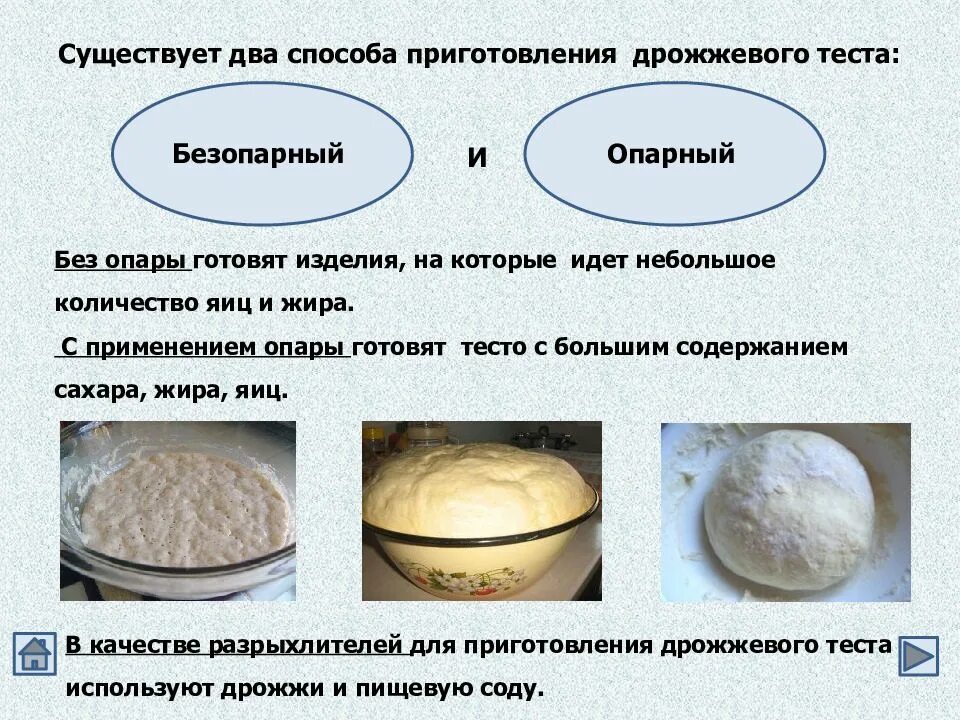 Два основных типа теста. Приготовление дрожжевого теста опарным способом. безопарного способа приготовления дрожжевого теста изделия. способ приготовления дрожжевого теста опарным способом. приготовление изделий из дрожжевого безопарного теста.