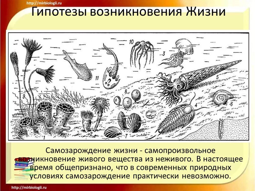 Гипотеза живое из неживого. Возникновение жизни гипотезы самопроизвольного зарождения жизни. Гипотеза самозарождения жизни рисунок. Возникновение жизни на земле самозарождение. Зарождение жизни из неживого.