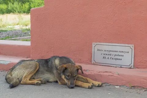 Совсем поехали