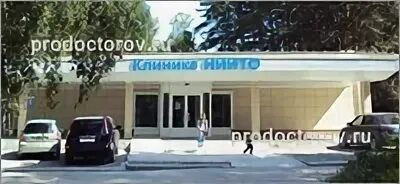 Ниито жемчужная 20