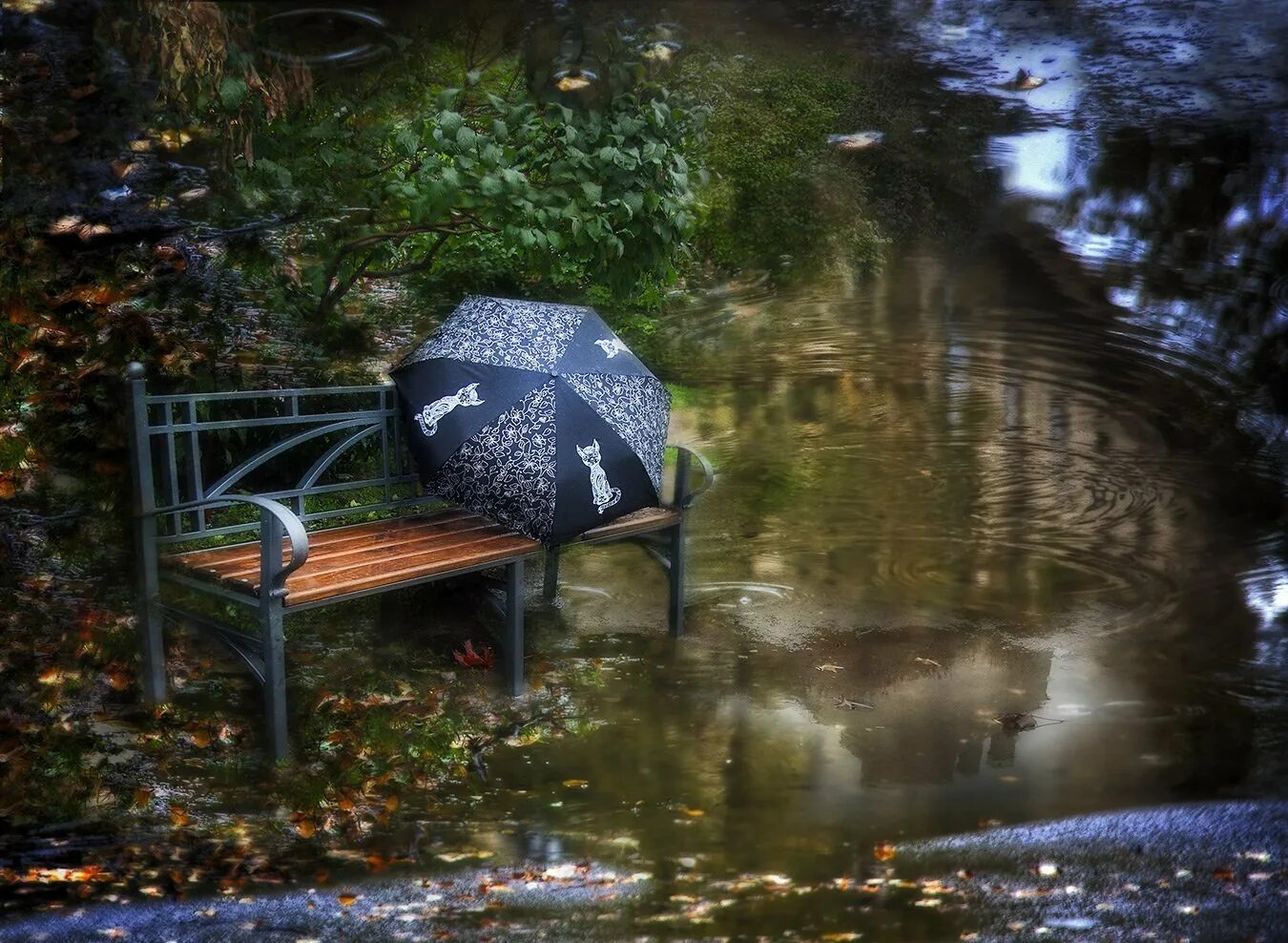 Осенний дождв парке. Скамейка с зонтом. Скамейка под дождем. Парк дождь.