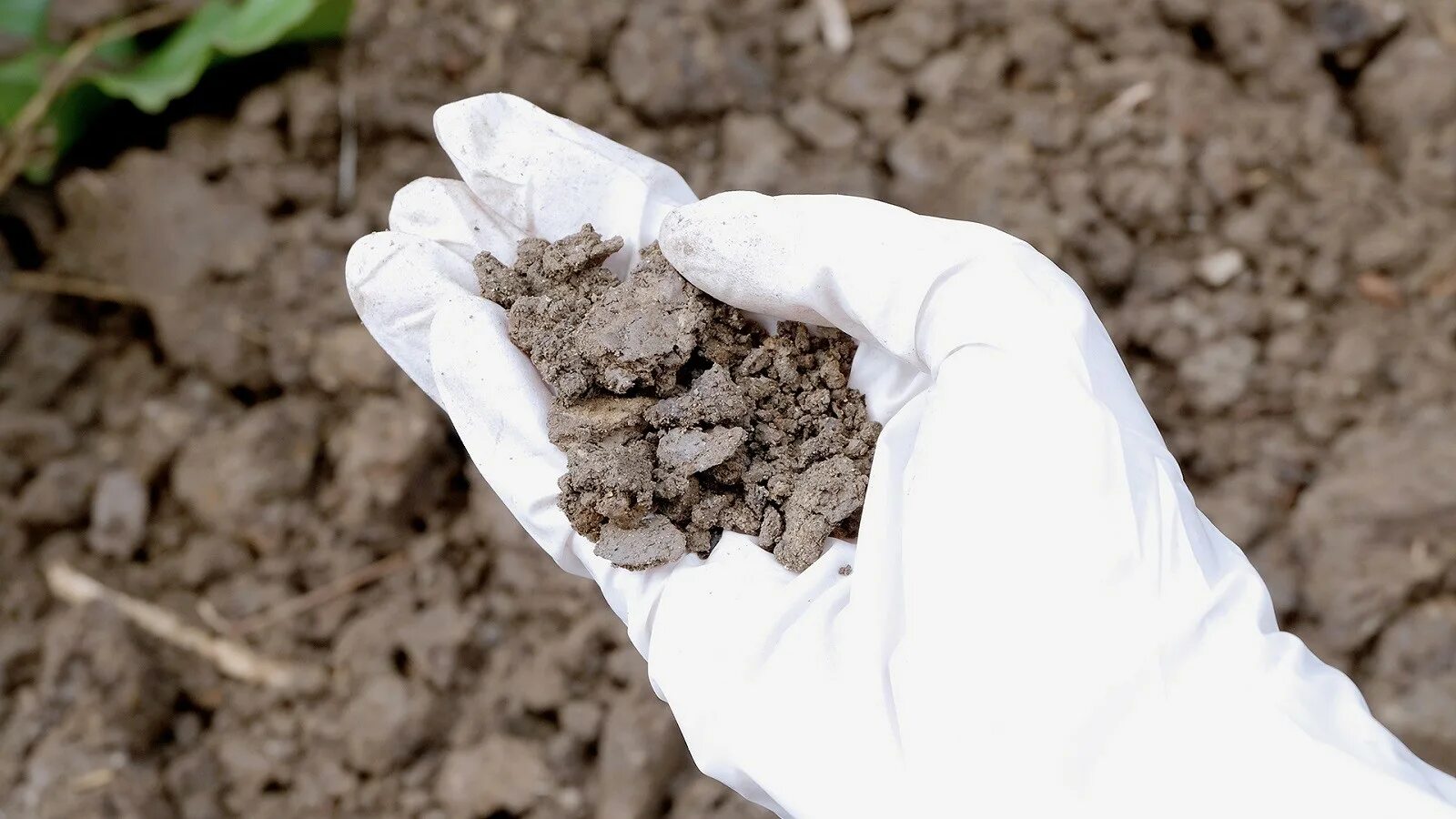 Земля в добрые руки. Загрязнение почвы. Исследование почвы. Агрохимическое обследование почв. Загрязненные почвы.