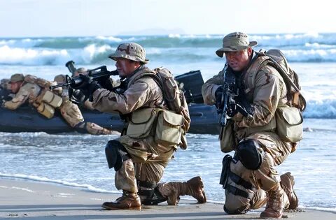 Navy seal